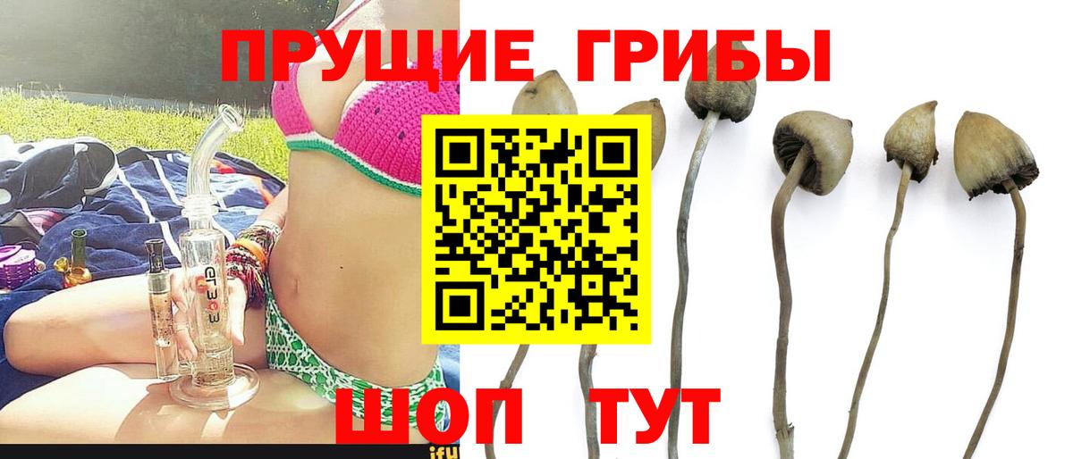 Галлюциногенные грибы GOLDEN TEACHER Гагарин